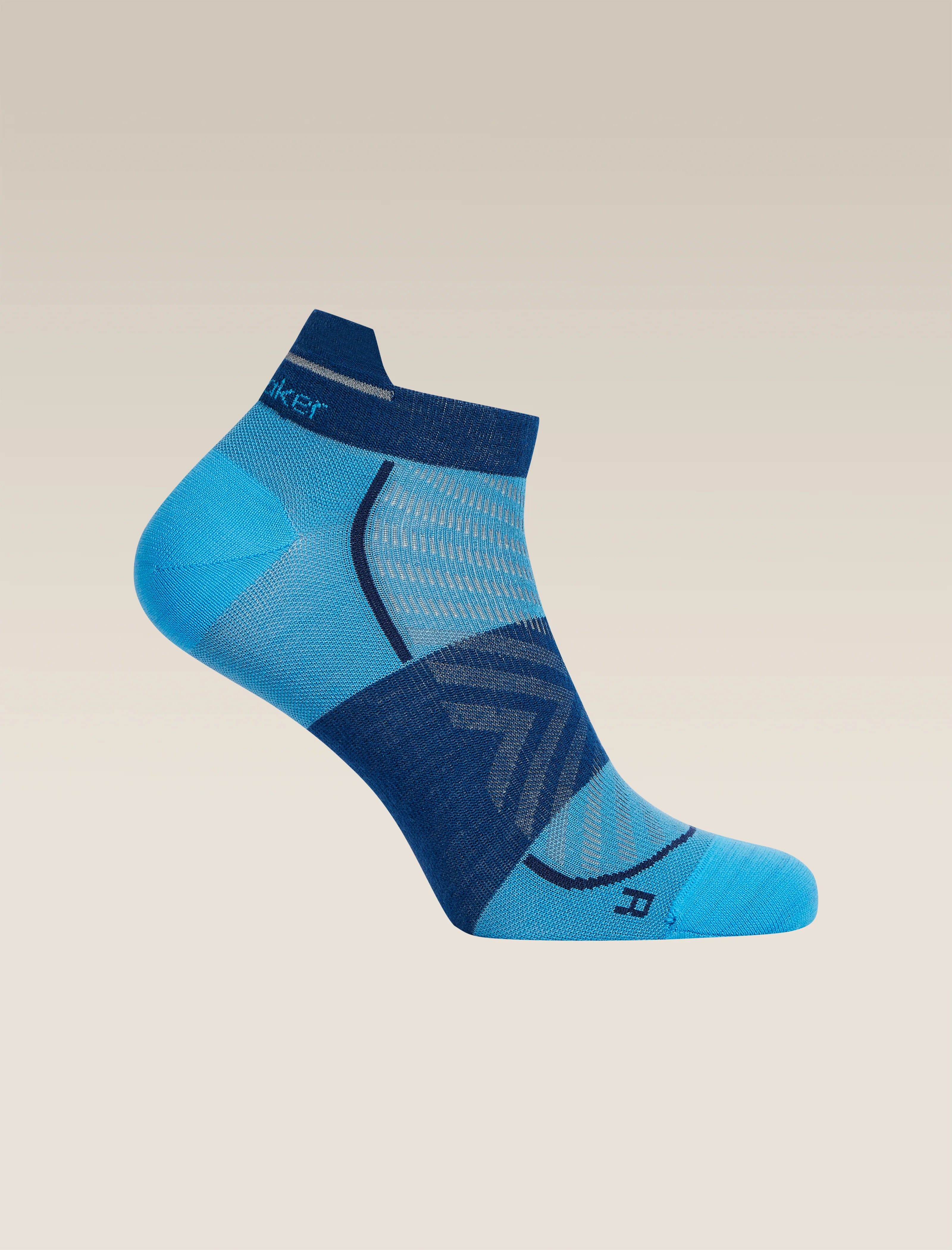 Calcetines ultraligeros micro Run+ de mezcla de lana merina para hombre