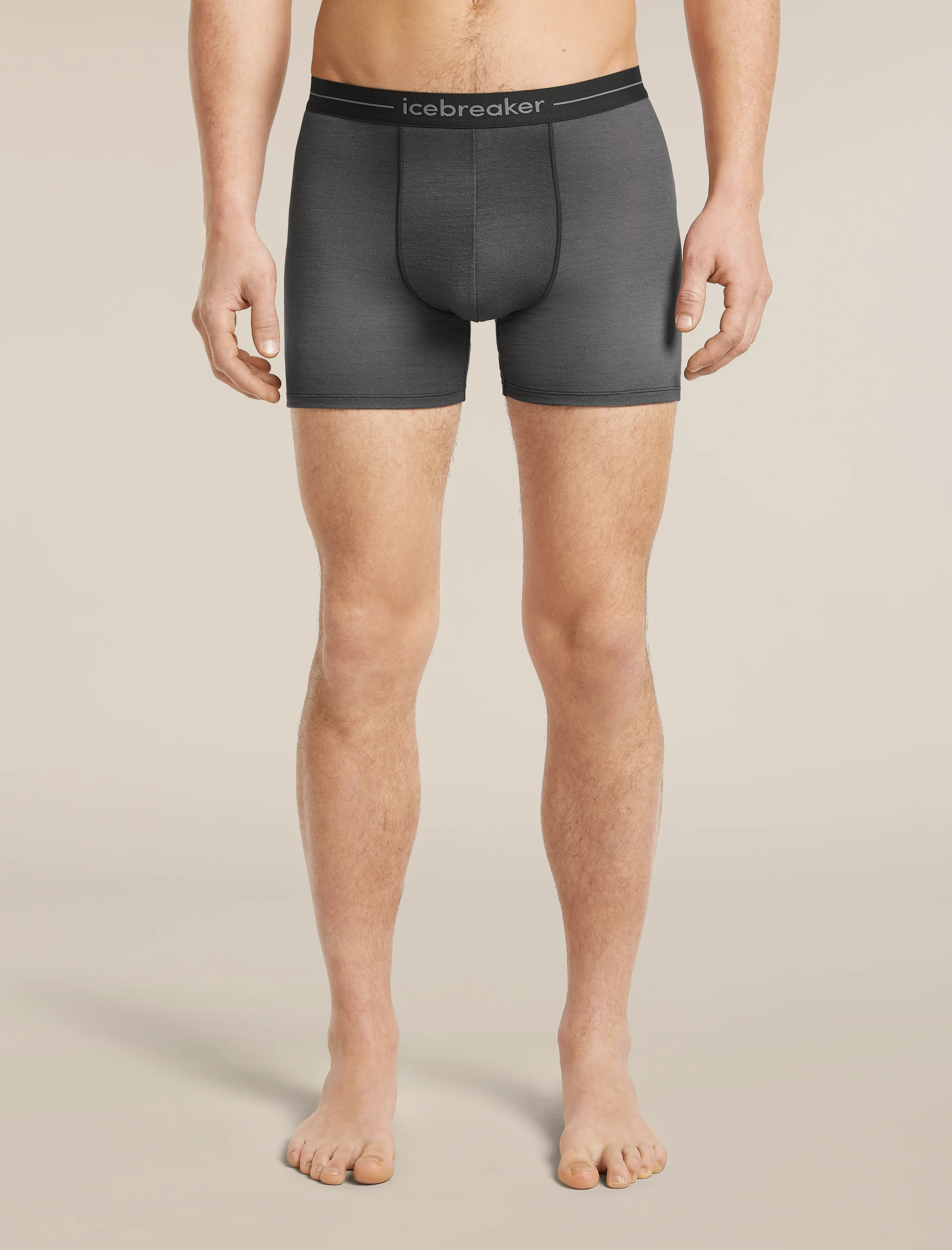 Boxers masculinos Merino 150 Anatomica Transition