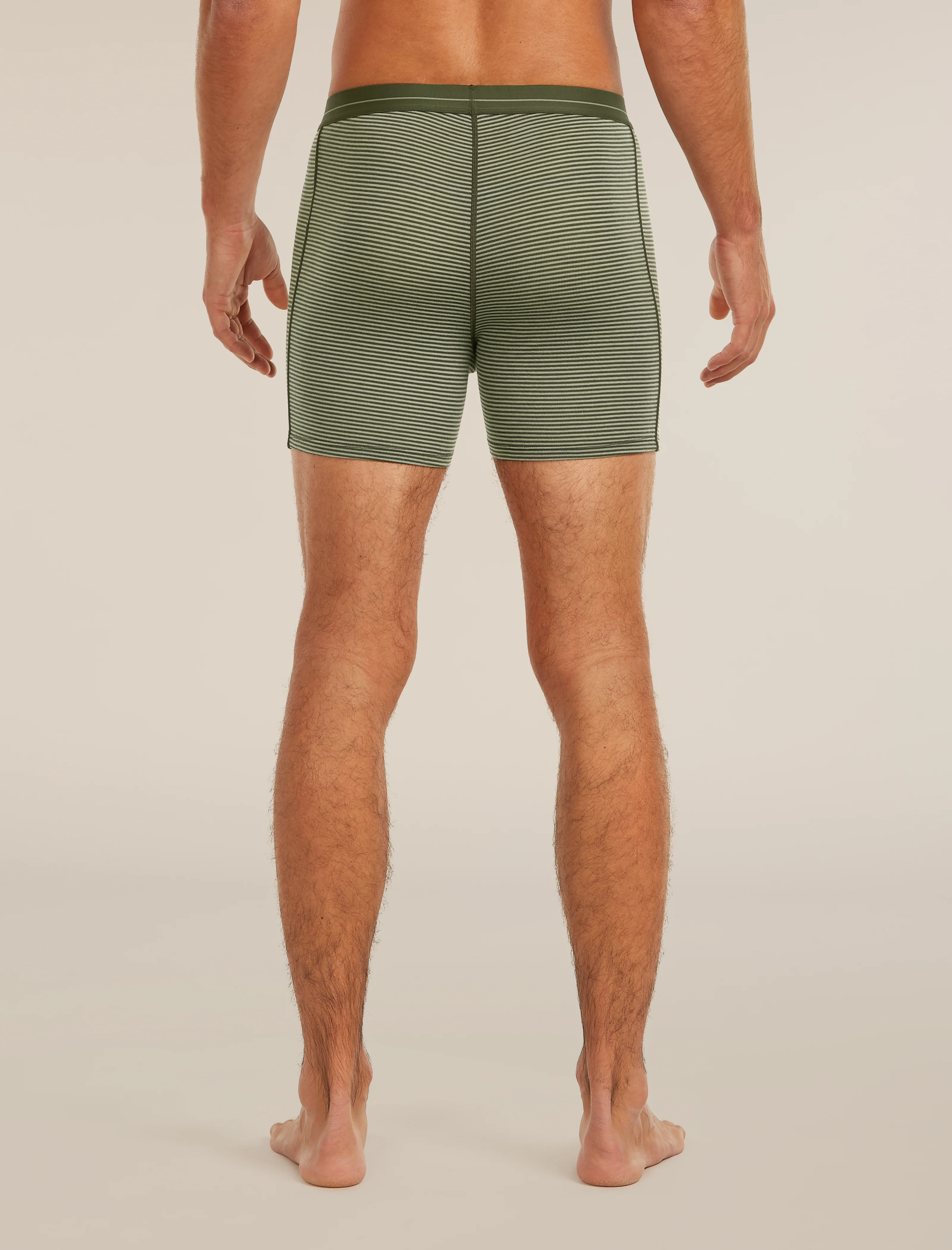 Calzoncillos masculinos Merino 150 Anatomica